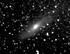 M31